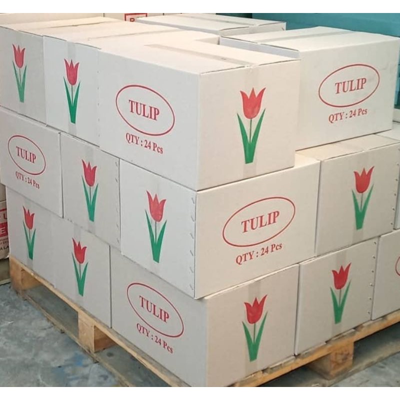 Jual SPONS / BUSA bunga 1 Dus, savana / aspac oasis/ Foam Kering ...