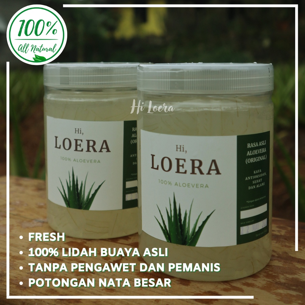 Jual Nata de Aloevera Aloe Vera Lidah Buaya Kupas Tanpa Pengawet dan