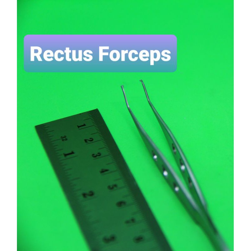 Jual Pinset Rectus | Shopee Indonesia