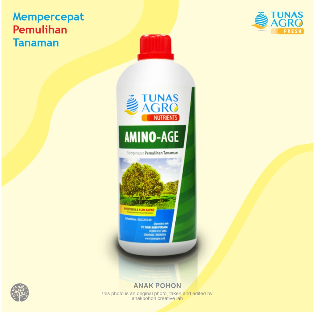 Jual Pupuk Organik Cair Nutrisi AMINO-AGE - Mempercepat Pemulihan ...