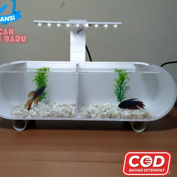 Jual Shopee Aquarium Akrilik Sekat Fullset Aquarium Cupang Sekat Aquarium Mini