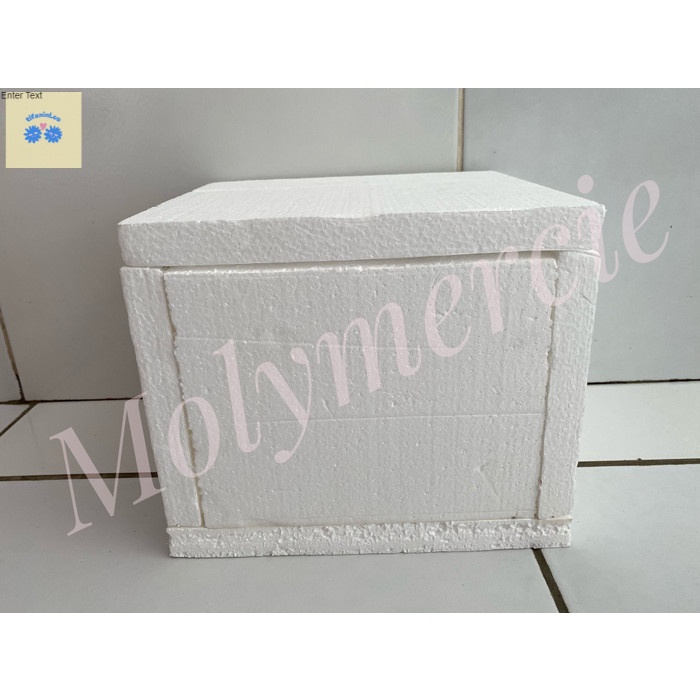 Jual Styrofoam box + ice dry ice untum eskrim woody (max isi 15 pcs