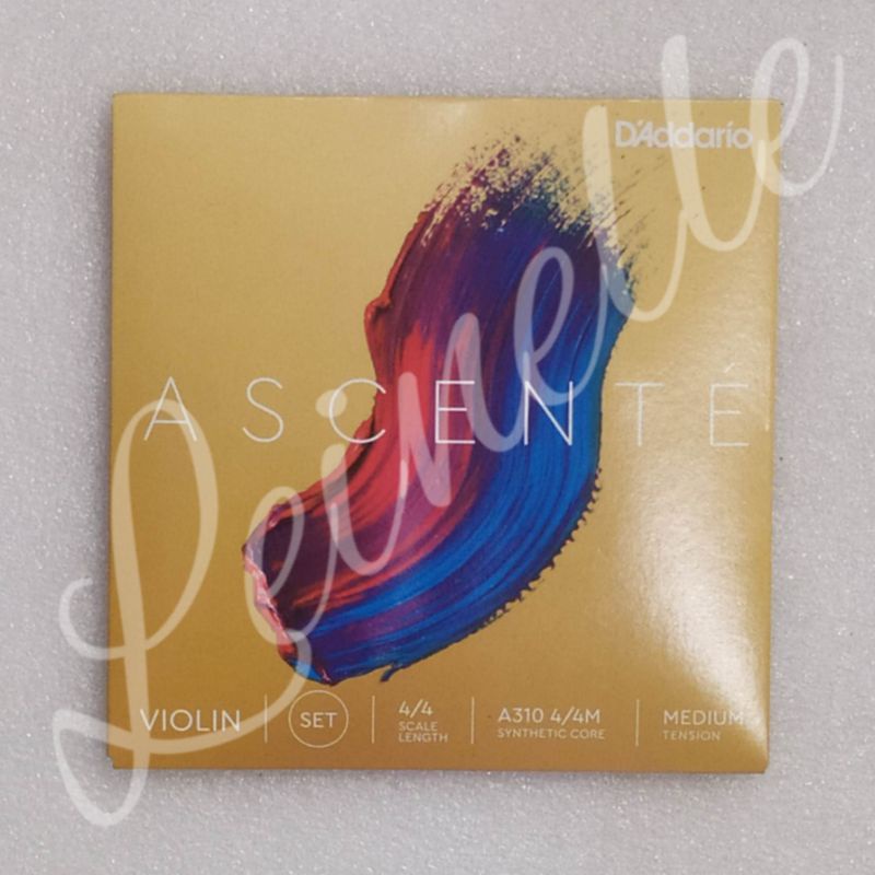 Jual Senar Biola D'Addario Ascente A310 4/4 Violin | Shopee Indonesia