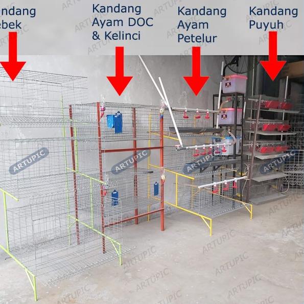 Jual Bagus KANDANG AYAM KECIL DOC PULLET BATERAI KAWAT GALVANISE