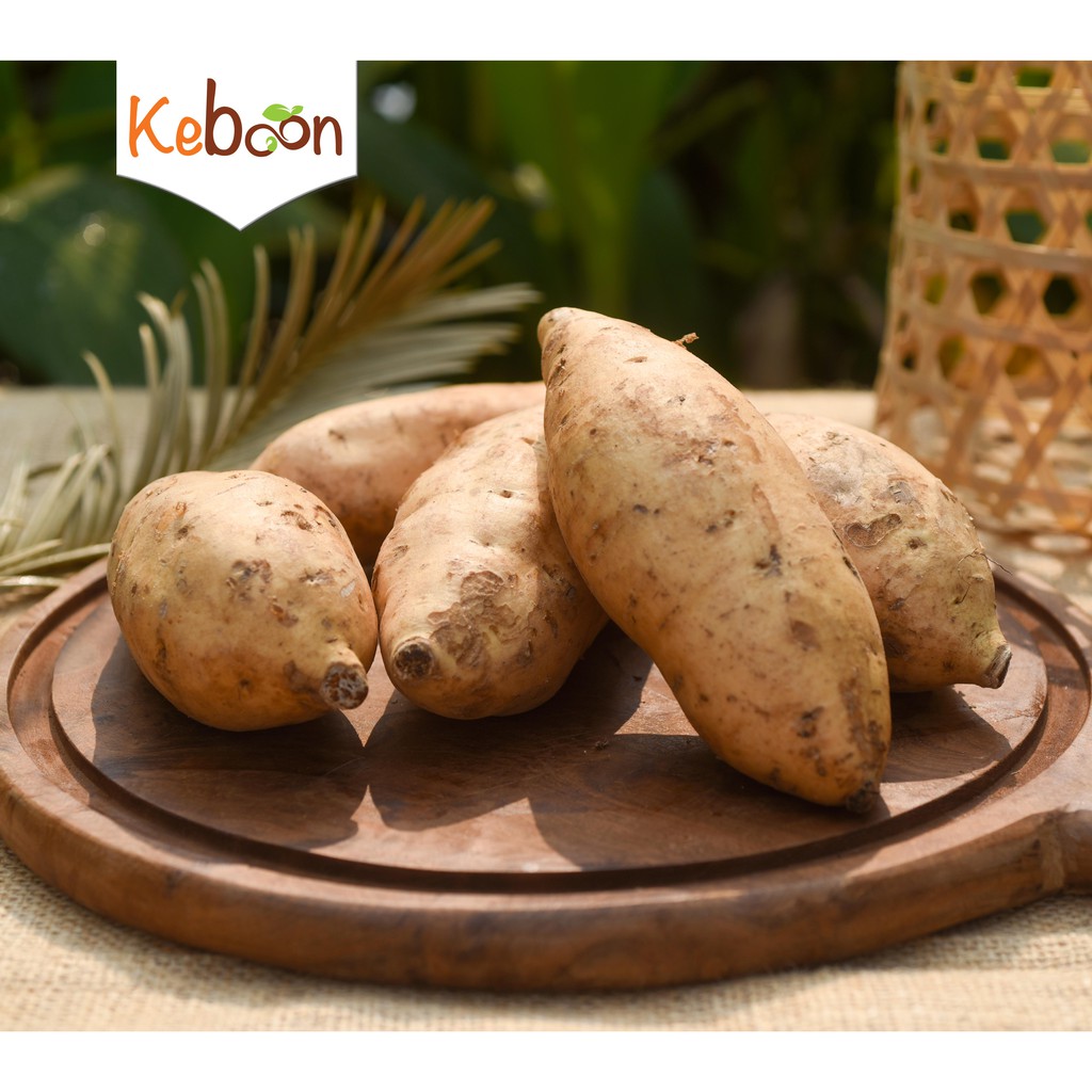 Ubi Cilembu: Manisnya Rasa, Mudah di Akses Lewat Jual Ubi Cilembu Online