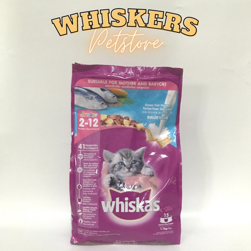 Jual Whiskas Junior Ocean Fish 1.1 kg Shopee Indonesia