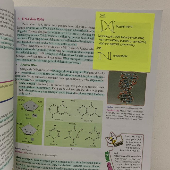 Jual NEW Buku Konsep Dan Penerapan Biologi Bailmu Slamet Kelas 12 Xii ...