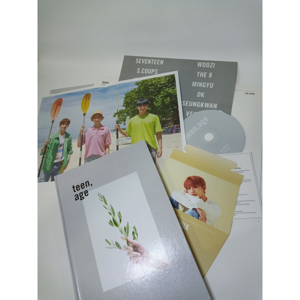 Seventeen TeenAge Album White Version, Joshua Photocard, Hoshi offers Standee