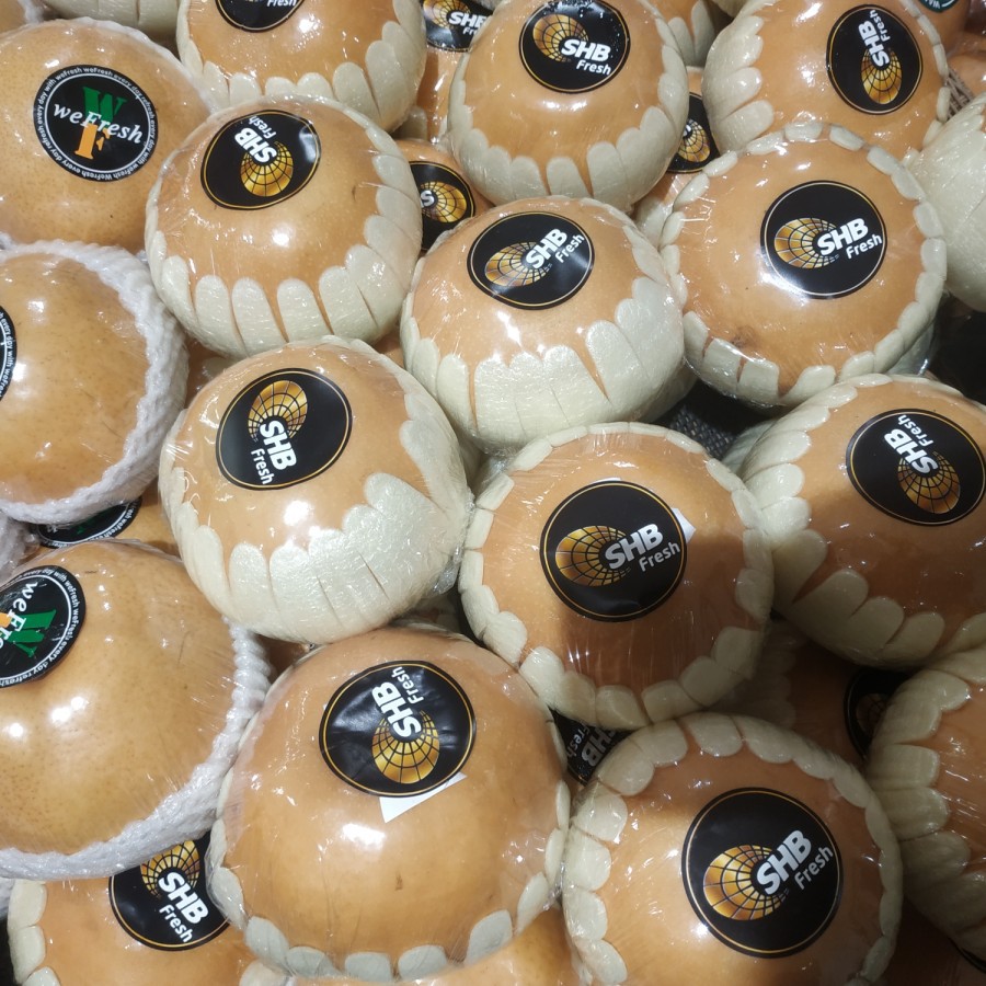 Jual Pear Singo RRT 1 kg | Shopee Indonesia