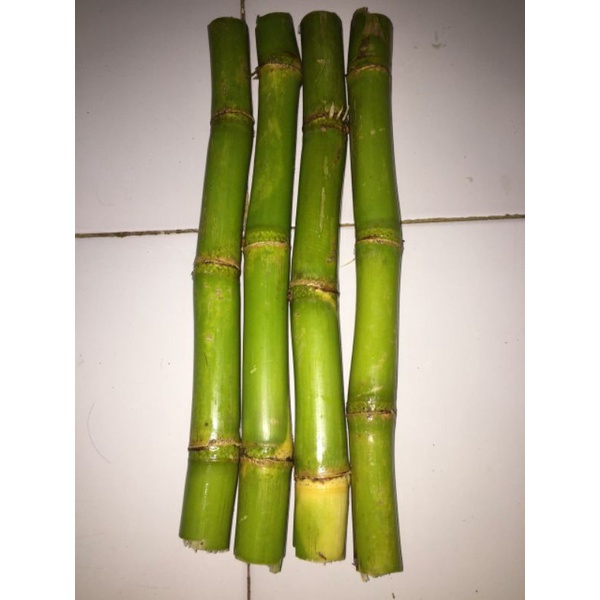 Jual es tebu murni botol 330ml | Shopee Indonesia