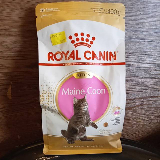 Dry food best sale kitten terbaik