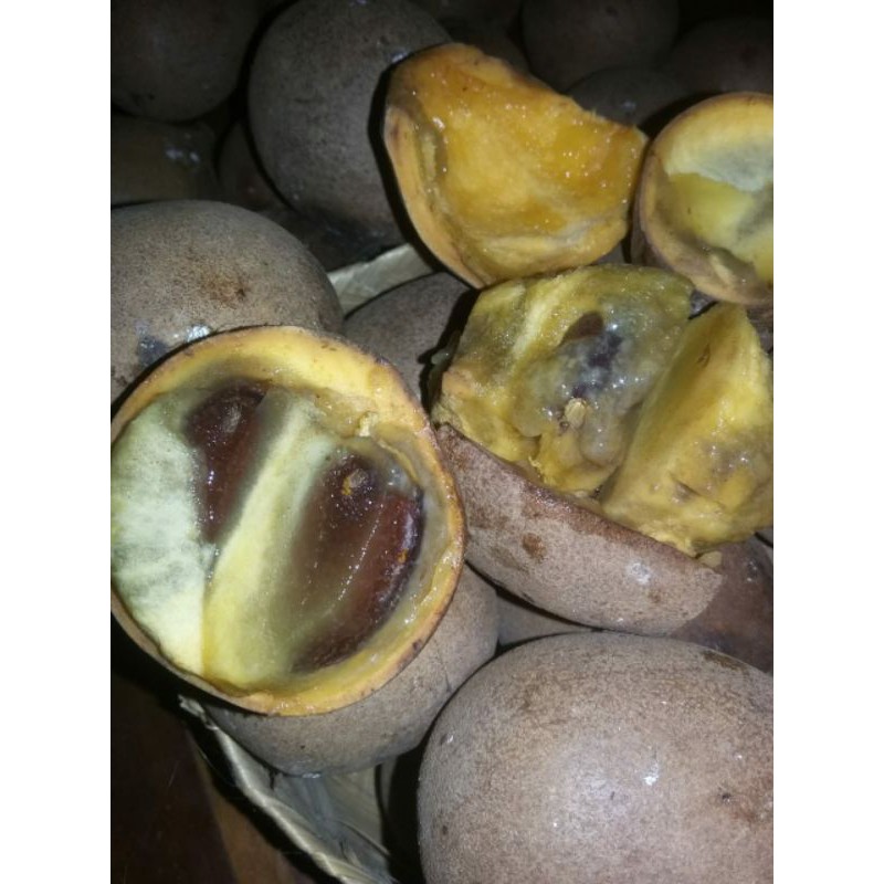 Jual Buah Kepel Burahol Petik Segar 3kg Shopee Indonesia