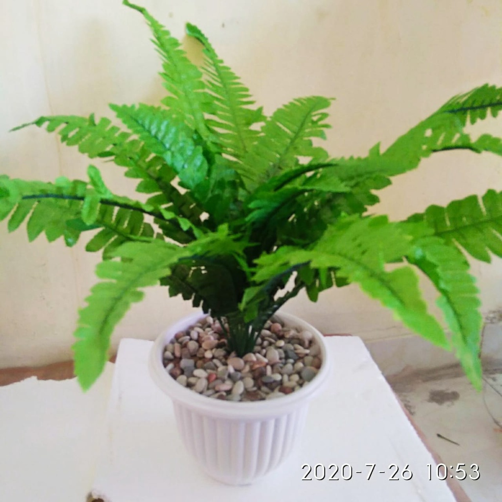 Jual Pohon Pakis Plastik Dengan Pot Dan Batu Kerikil Bunga Hias ...