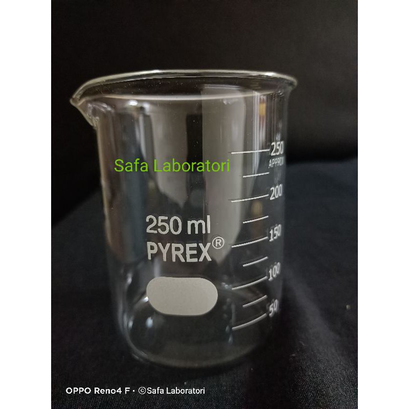 Jual Beaker Glass Gelas Kimia 250 Ml Pyrex Shopee Indonesia 4565