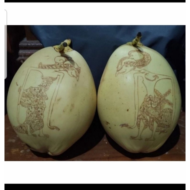 Jual kelapa/cengkir gading lukis bisa request Shopee Indonesia