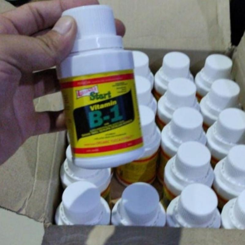 Jual Pupuk Vitamin B1 | Shopee Indonesia