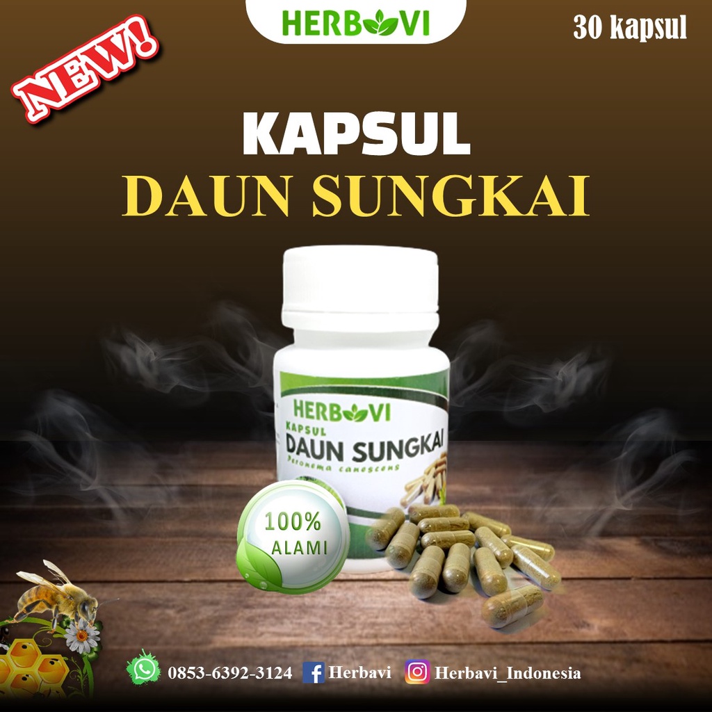 Jual Kapsul Daun Sungkai Shopee Indonesia 