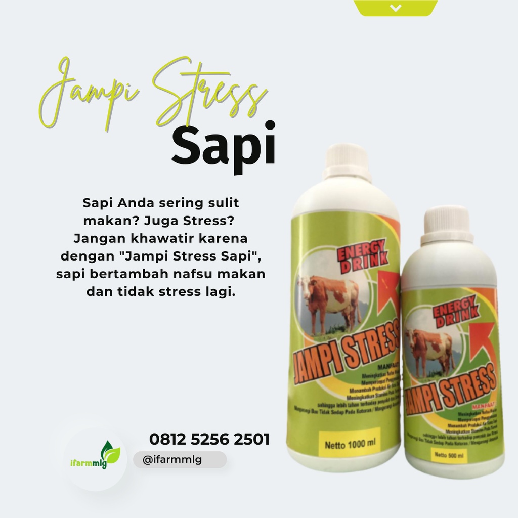 Jual Jampi Stres Sapi 1L – Probiotik Sapi – Probiotik Peningkat Nafsu ...