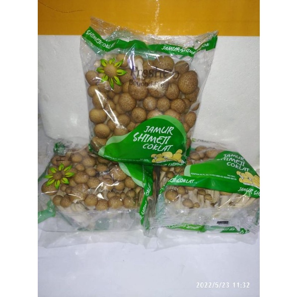 Jual JAMUR SHIMEJI COKLAT /BROWN SHIMEJI MUSHROOM Shopee Indonesia