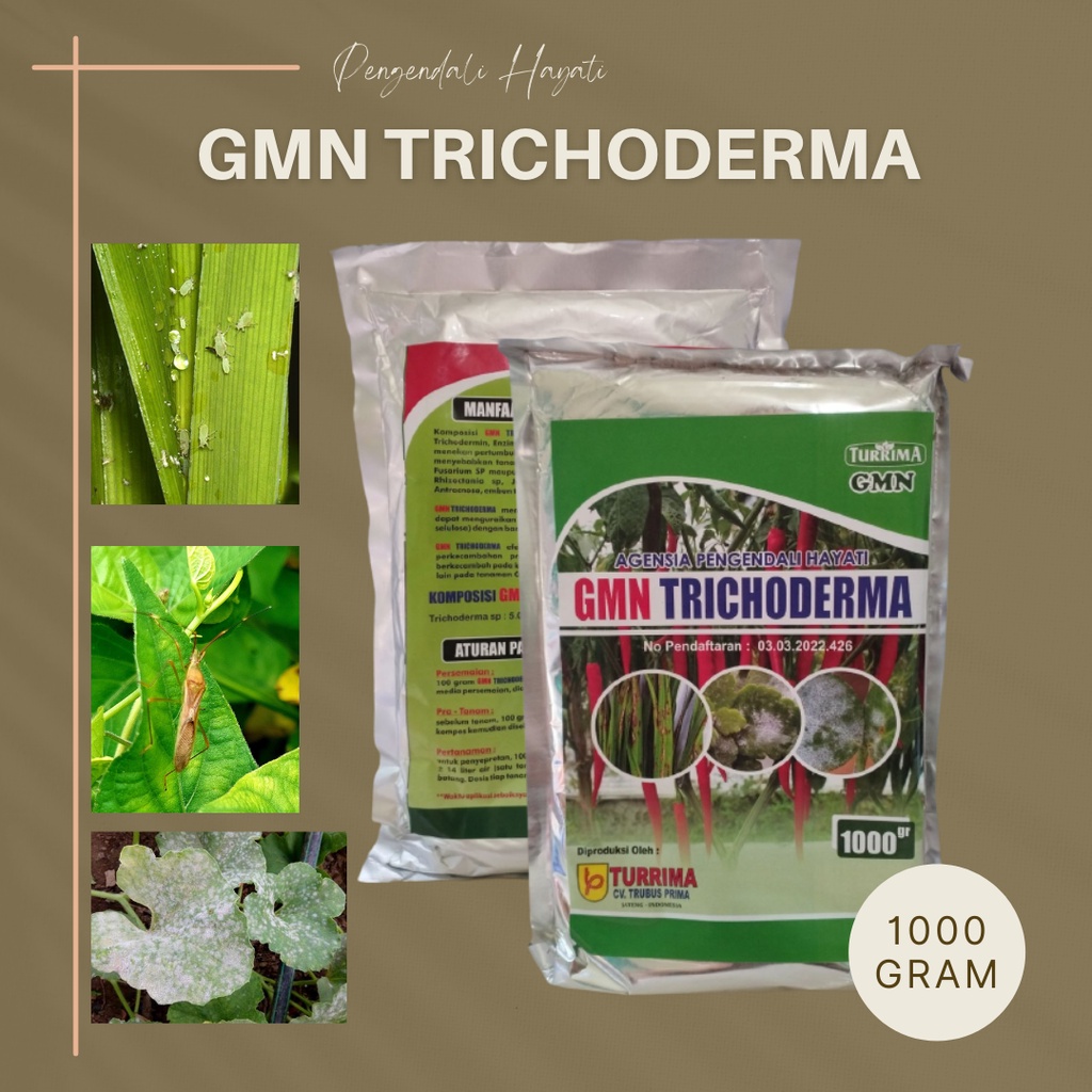 Jual Fungisida Hayati Trichoderma Layu Fusarium Cabe Keriting Pupuk Tricoderma Shopee Indonesia 