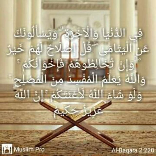 Jual Sampul buku | Shopee Indonesia