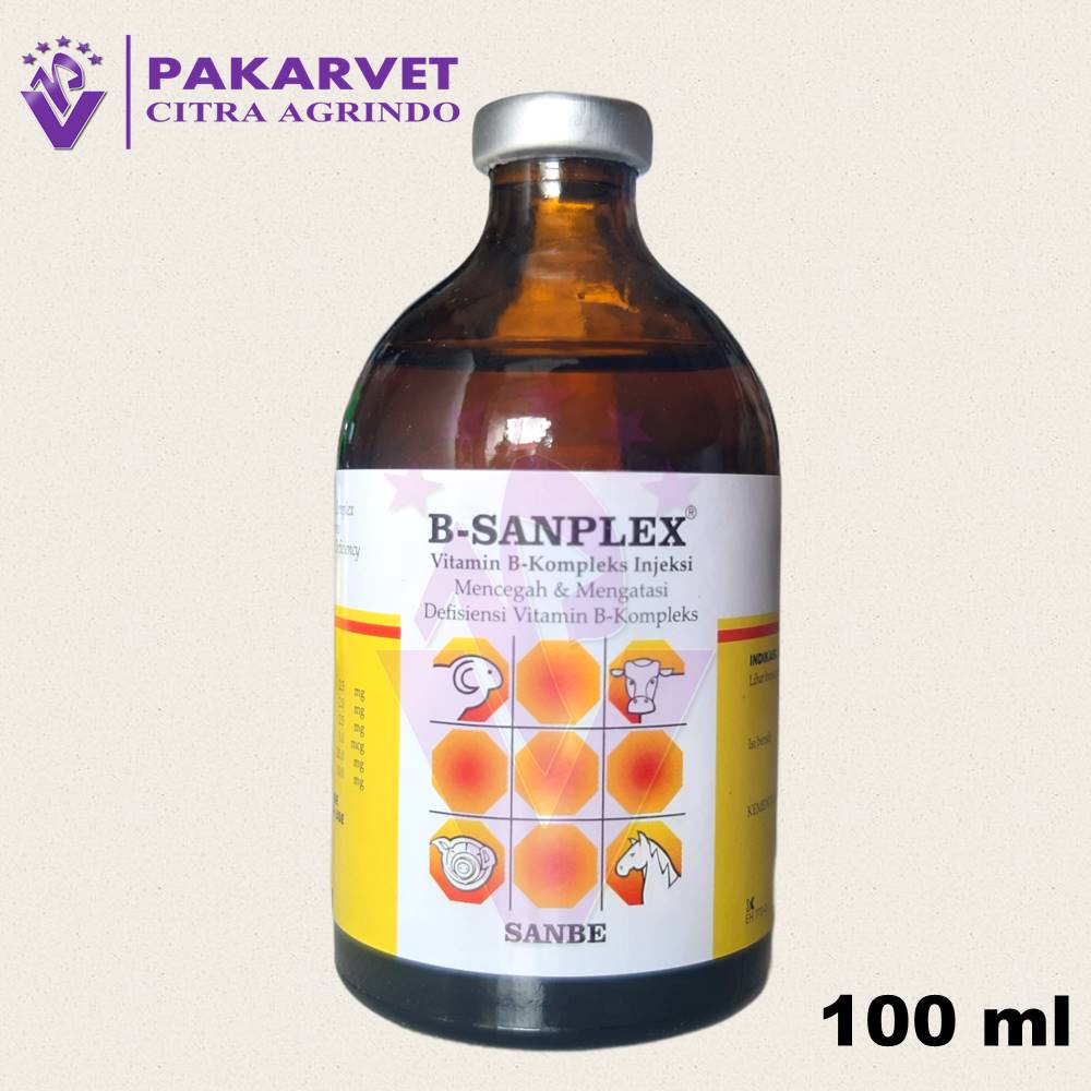 Jual B SANPLEX Inj Vitamin B Kompleks 100ml Sanbe | Shopee Indonesia