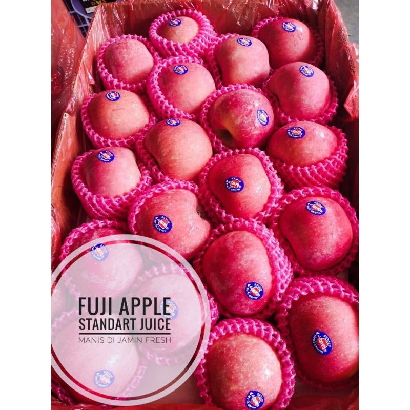 Jual Buah Apel Fuji Rrc Untuk Jus 1kg Shopee Indonesia