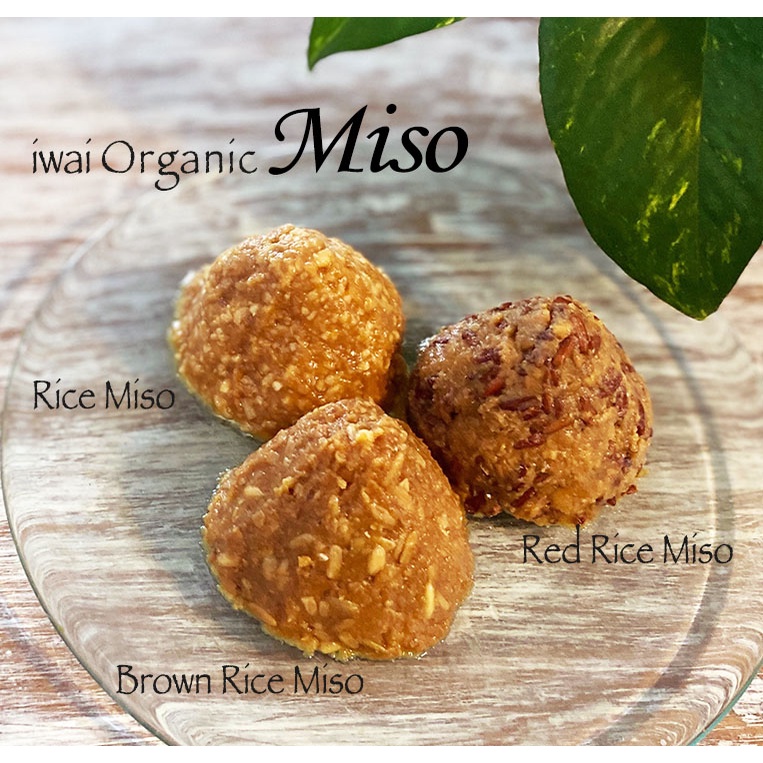 Jual iwai Brown Rice Miso paste / Beras Cokelat Koji Miso asli | Shopee ...