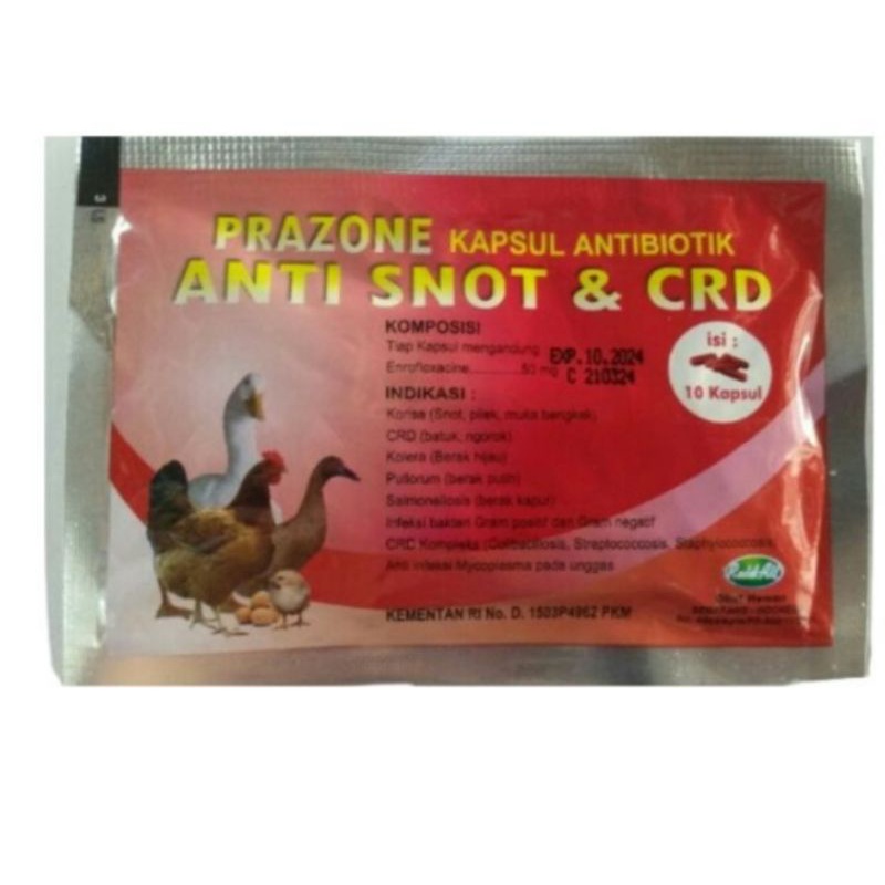 Jual Anti Snot & CDR Kapsul isi 10 | Shopee Indonesia