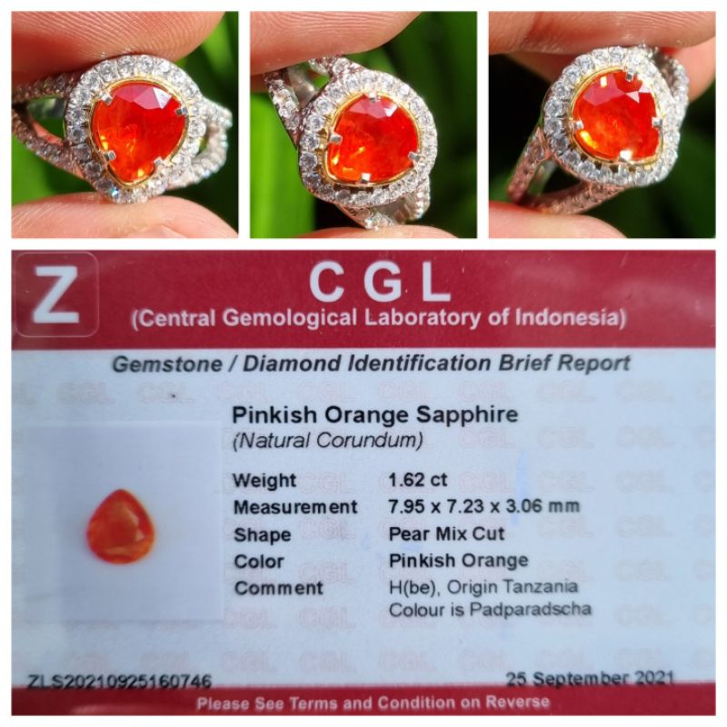 Jual Natural Padparadscha Color Sapphire Lady Ring Memo 1.62 crt ...