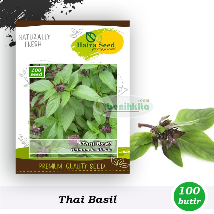 Jual Benih-Bibit Thai Basil (Haira Seed) | Shopee Indonesia