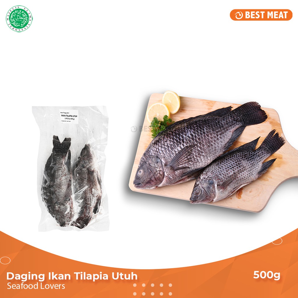 Jual Ikan Tilapia Utuh 500 gr Ikan Tilapia atau Nila Utuh Beku Tinggi