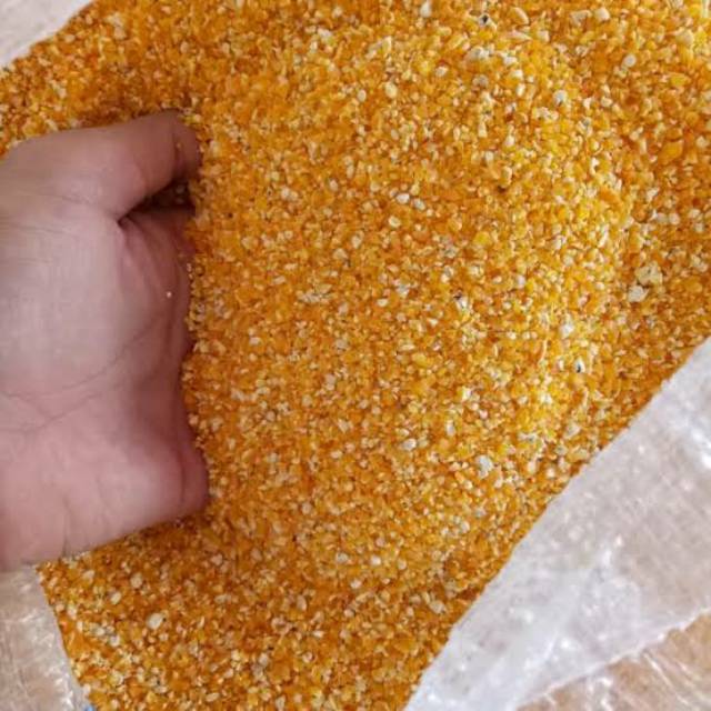 Jual Jagung Giling 1 Kg Tersedia Kasar Halus Sedang Shopee Indonesia