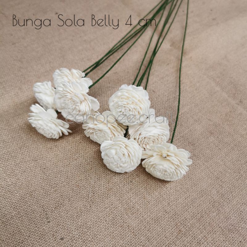 Jual Bunga Kering Diffuser Sola Flower | Shopee Indonesia