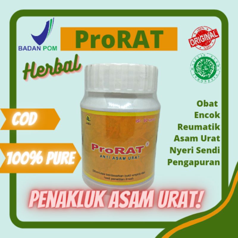 Jual Obat Herbal Asam Urat Reumatik Rematik Nyeri Sendi Tulang ...