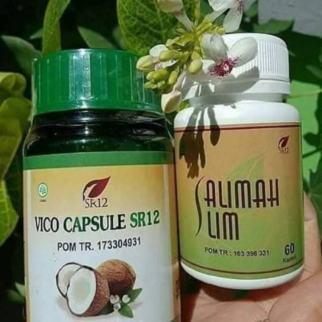 Jual PAKET PELAKOR Sr12 (pelunturlemakkotor) | Shopee Indonesia