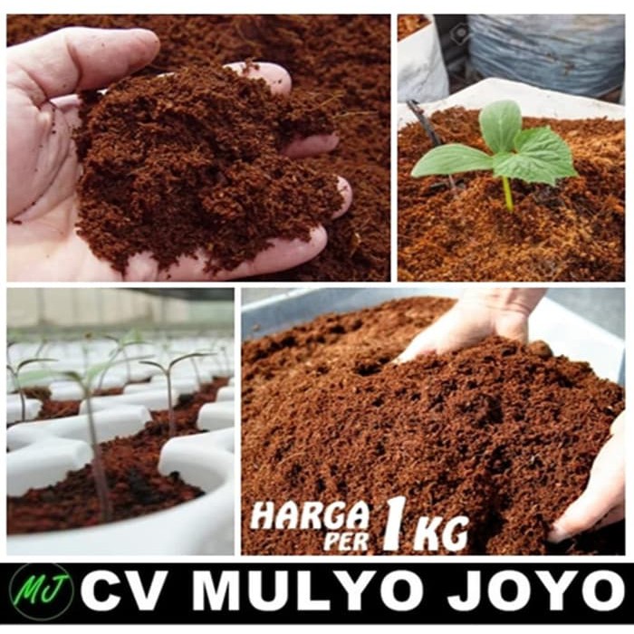 Jual Media Tanam Pertanian Hidroponik Kokopit Cocopeat Sabut Kelapa 1 ...