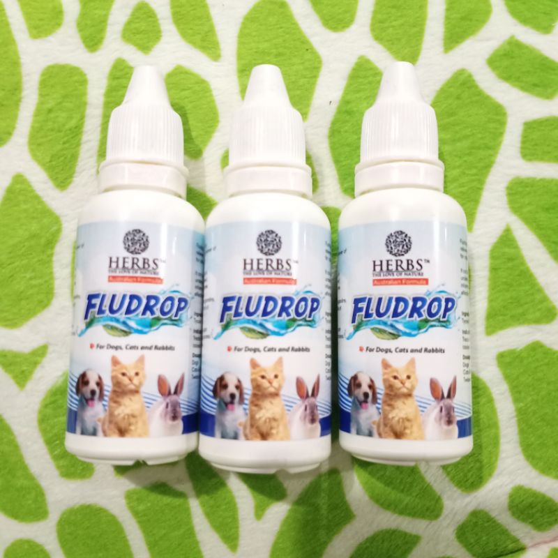 Jual Herbs Flu Drop 30ml / Obat Flu Kucing Anjing Tetes Herbs FLUDROP ...