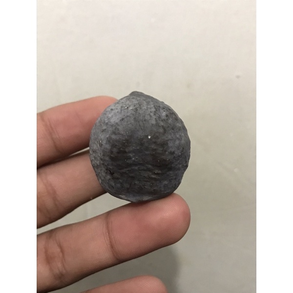 Jual muncang adu Yanti si raja batok tebal | Shopee Indonesia