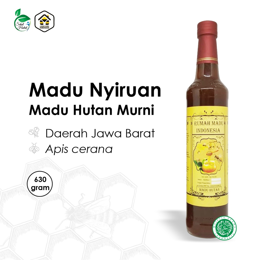Content to image for Madu Murni Lebah Apis Cerana
