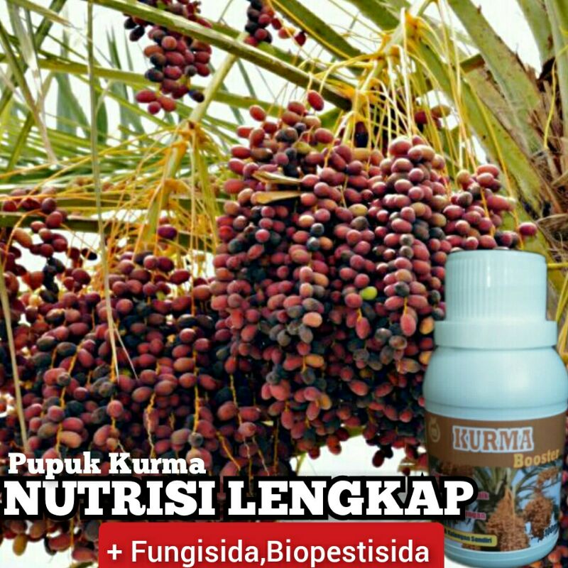 Jual Pupuk Kurma Anggur Petai Alpukat Rambutan Pepaya Mangga Sirsak ...