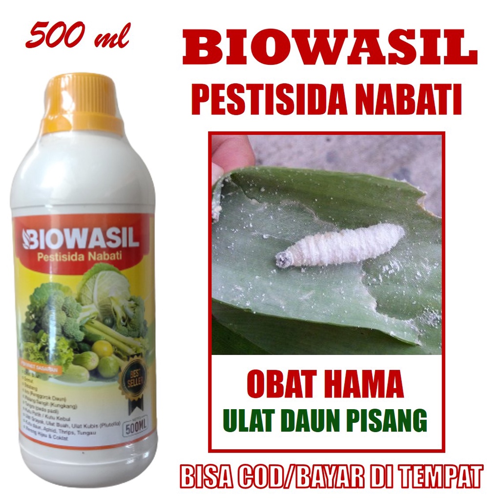 Jual Obat Ulat Daun Pisang Biowasil Ml Pestisida Alami Atasi