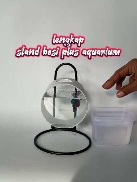 Jual stand aquarium mini | lengkap stand besi plus aquarium | Shopee ...