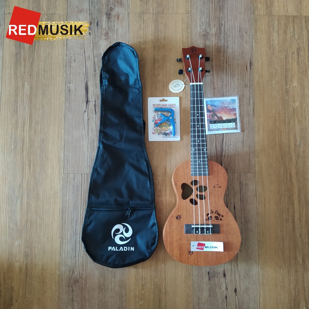Ukulele on sale paladin concert
