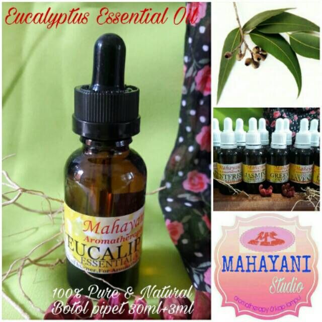 Jual 100% Pure Essential Oil Eucalyptus/Minyak Eucalyptus Murni 100% ...