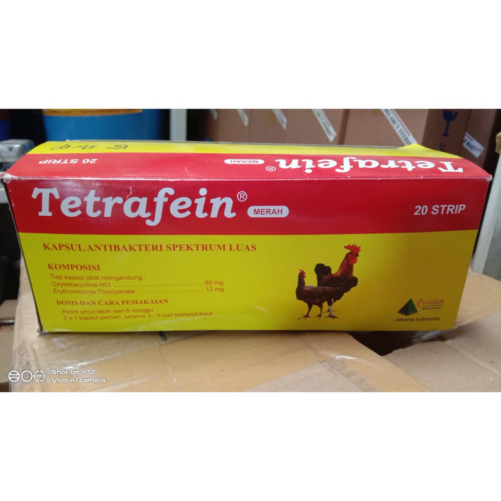 Jual Tetrafein 1 Strip Isi 10 Kapsul Obat Snot Crd Berak Hijau Berak