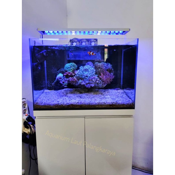 Jual SALE AQUARIUM AIR LAUT 1 SET LENGKAP AQUARIUM AIR ASIN LENGKAP