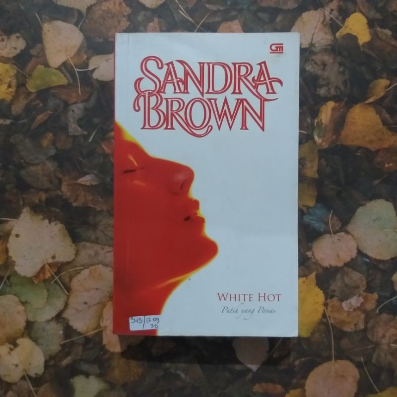 Jual KUMPULAN NOVEL BAHASA INGGRIS DAN TERJEMAHAN | Shopee Indonesia