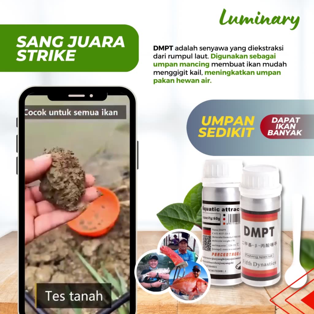 Jual Original DMPT umpan pancing bubuk essen essence stimulant mancing ...