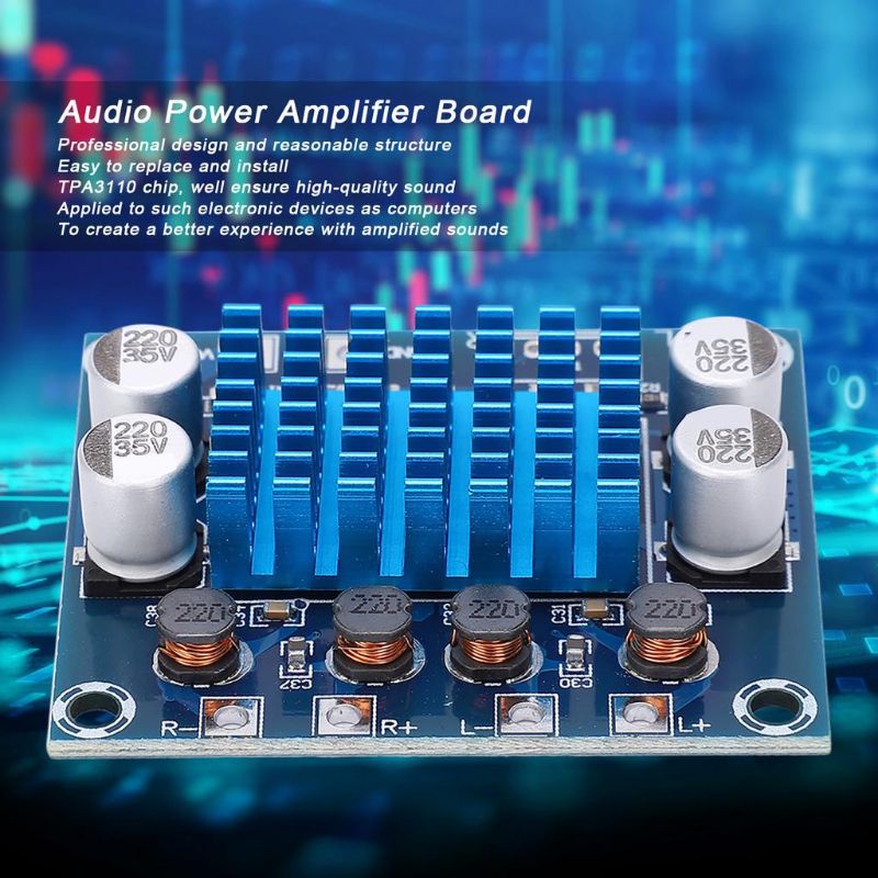 2x Scheda Amplificatore TPA3110 15W X 2 – Dual Channel, DC 8-24V, Con Cavo Audio 3.5mm
